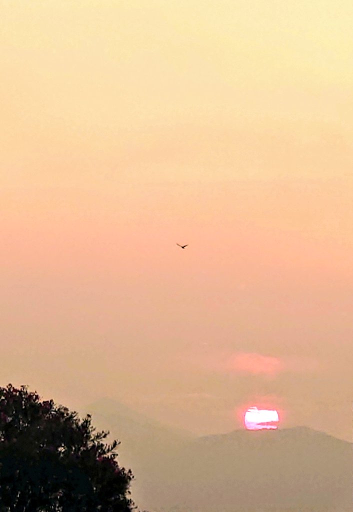 SeikoTamori's tweet image. #今日の最高気温
34.0 桑名
33.6 鳥羽
33.5 伊勢
33.3 伊賀
33.1 粥見
32.8 亀山
32.3 紀北
32.2 四日市
31.8 津
31.5 熊野
31.0 南伊勢
30.8 尾鷲
■4日(金)
今夜〜明け方は激しい雨や雷のおそれ⛈️
警報級の大雨になる可能性あり
日中は晴れ間あり
最高31〜34℃ 蒸し暑い
#熱中症警戒アラート 発表中