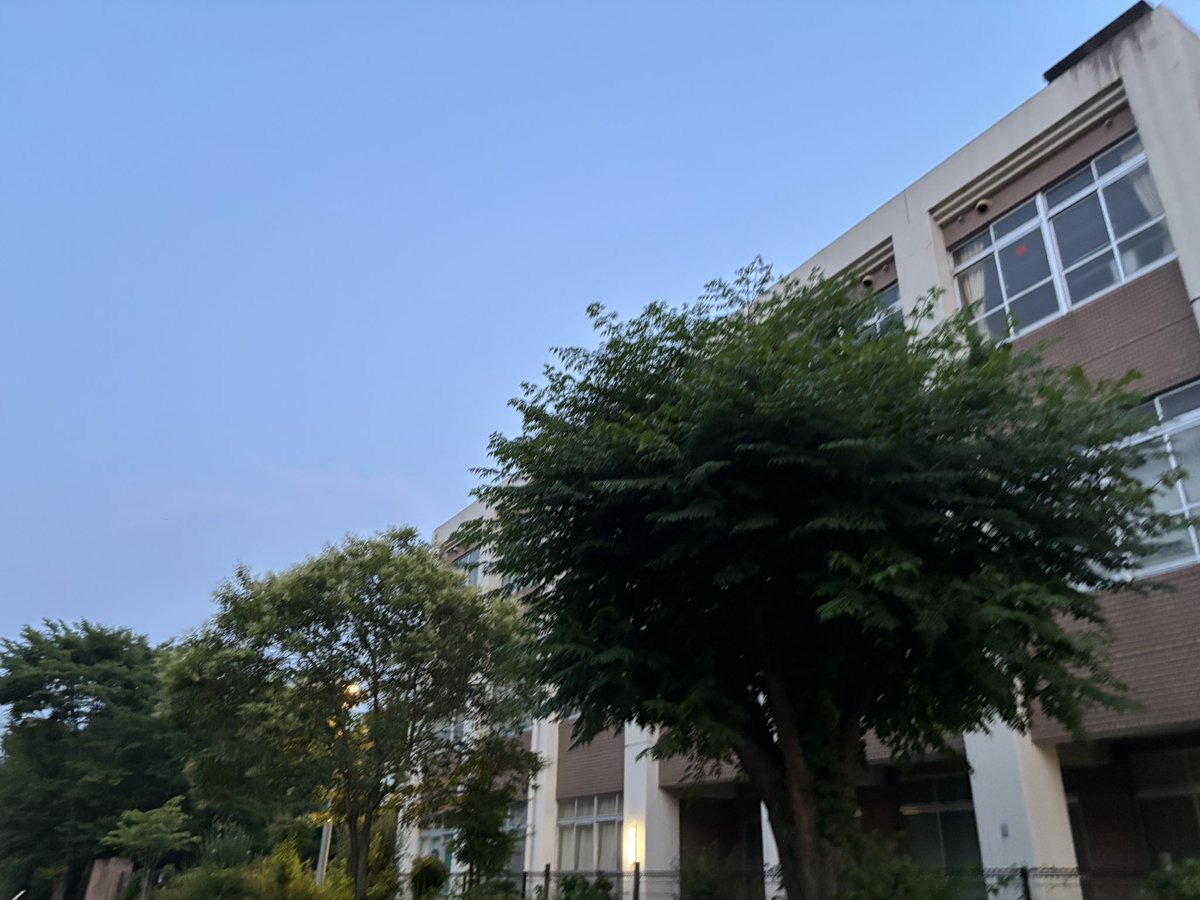 蝉が鳴き始めました。
蒸し蒸しします。
#蝉
#蒸し蒸し
#京都
#夏
#7月