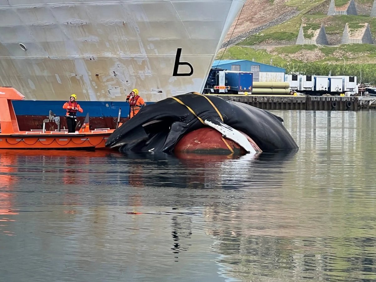 On June 19th, a humpback whale was hit by the Norræna ferry, sailing from Faroe Islands to Iceland. The captain reported a loud thud at 7AM that morning and claims that the whale was already deceased at the time of the collision.

(Image via RÚV / Rúnar Snær Reynisson)