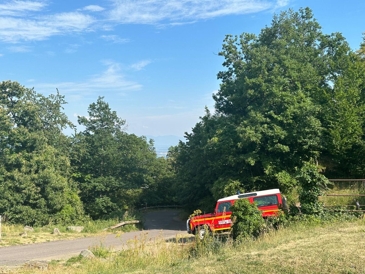 "Une dizaine de départs de feu": les pompiers du Haut-Rhin veillent sur les Vosges avec les fortes chaleurs
l.bfmtv.com/4eDd