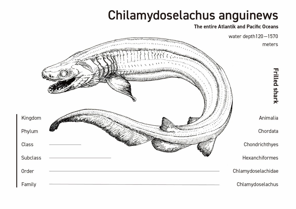平たく言うとラブカ
#イラスト #絵柄が好みって人にフォローされたい