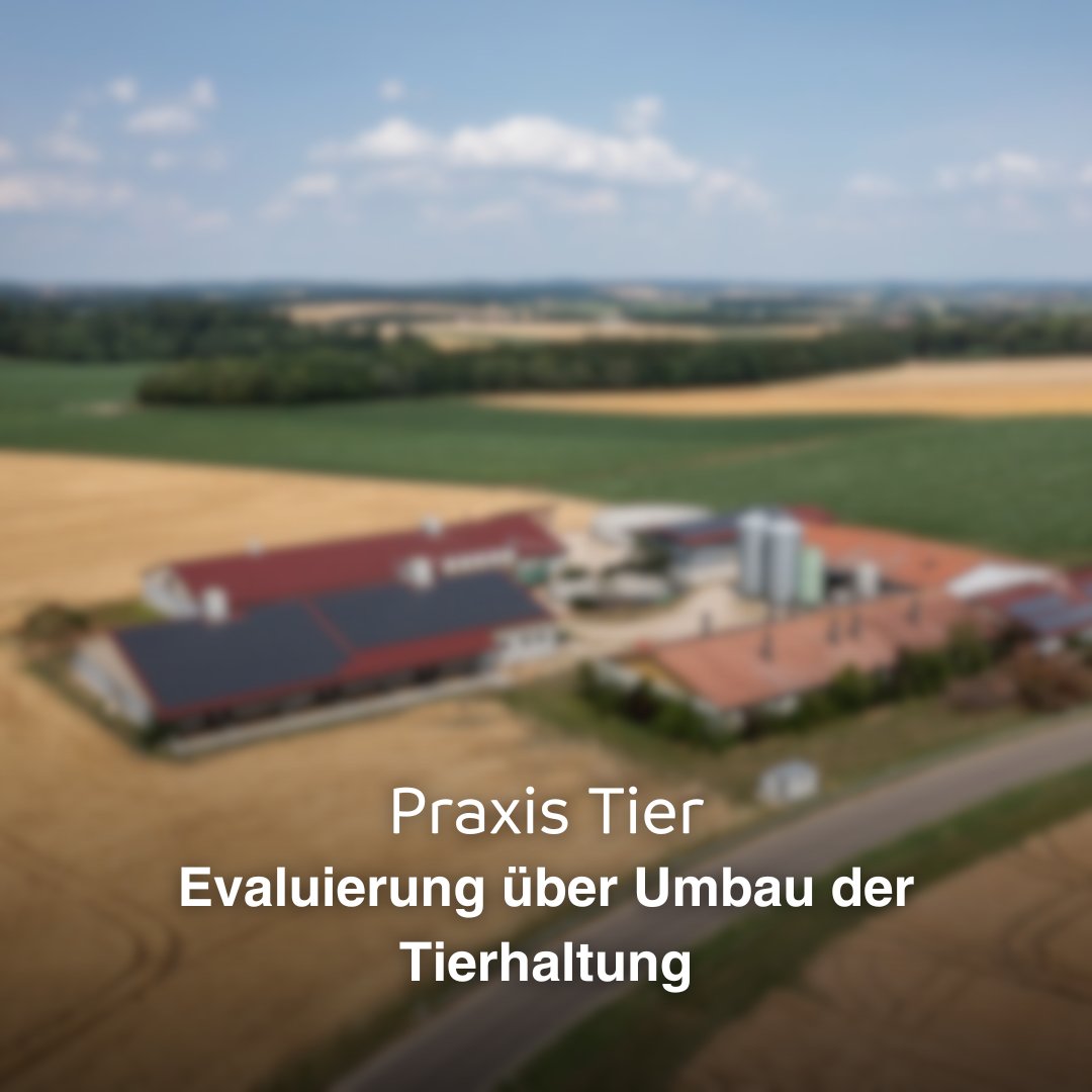 DLG e.V. (@dlgev) on Twitter photo 🚜 Evaluierung der Förderung „Umbau der Tierhaltung“ gestartet:
DLG untersucht gemeinsam mit Partnern die Wirkung auf Tierwohl, Betriebe & Gesellschaft – im Auftrag des <a href="/BMLEH_Bund/">BMLEH Landwirtschaft · Ernährung · Heimat</a>.
👉 Mehr Infos: dlg.org/magazin/evalui… 🚜 Evaluierung der Förderung „Umbau der Tierhaltung“ gestartet:
DLG untersucht gemeinsam mit Partnern die Wirkung auf Tierwohl, Betriebe & Gesellschaft – im Auftrag des <a href="/BMLEH_Bund/">BMLEH Landwirtschaft · Ernährung · Heimat</a>.
👉 Mehr Infos: dlg.org/magazin/evalui…