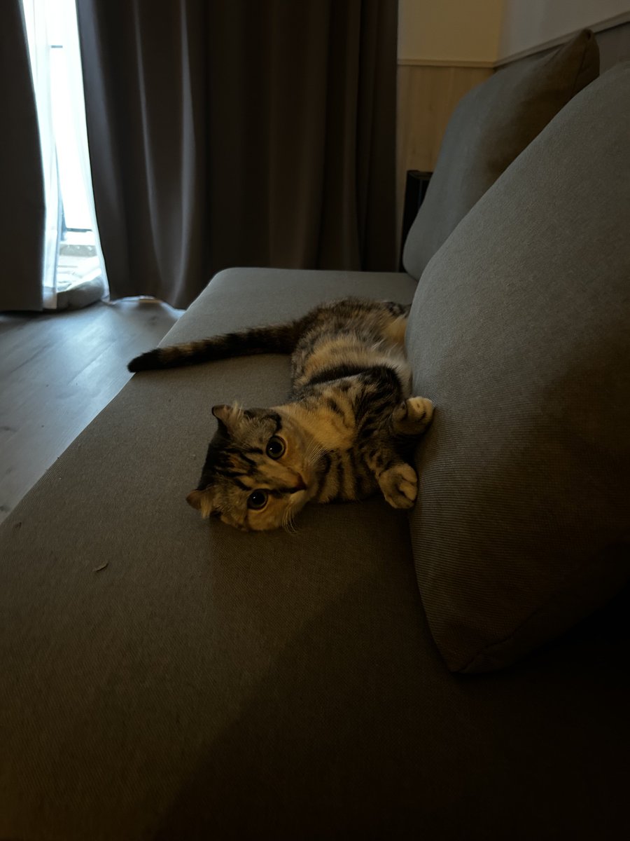 atikix's tweet image. 𝑷𝒓𝒆𝒕𝒕𝒚