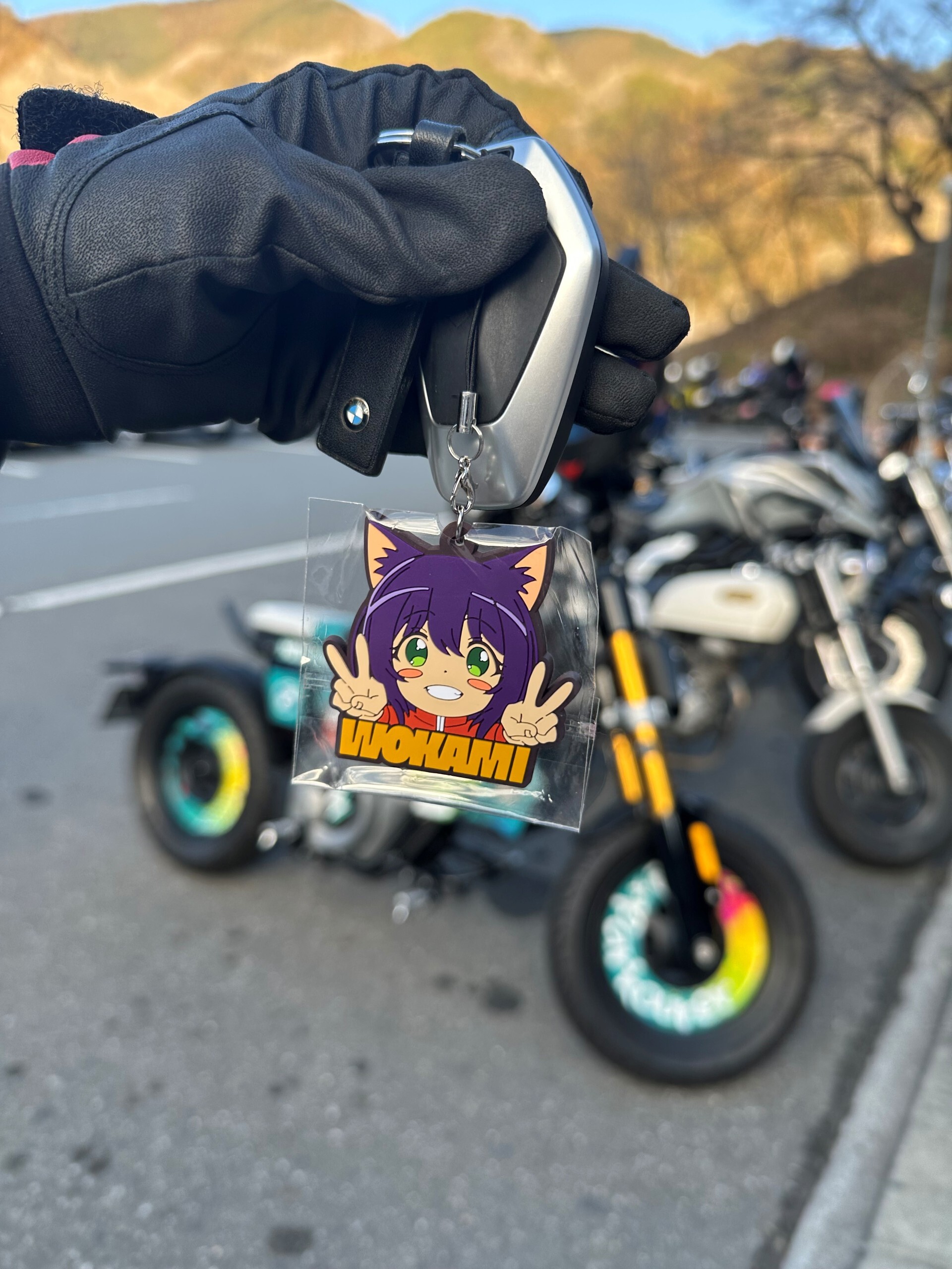 モモンガ太郎様(オーダー追加ページです) BMW Motorrad Japan on X: 