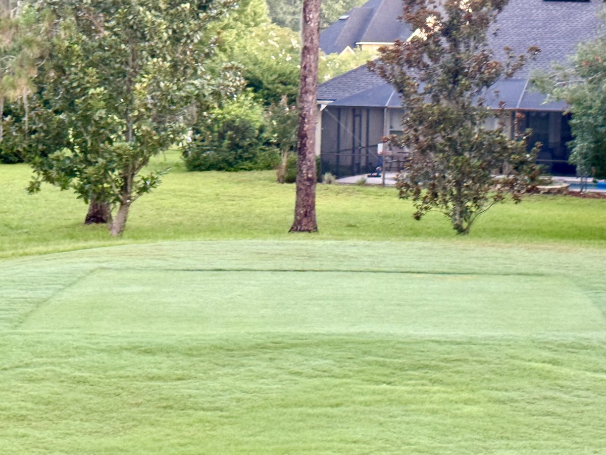 Greens and tees transitioned nicely from over seed
