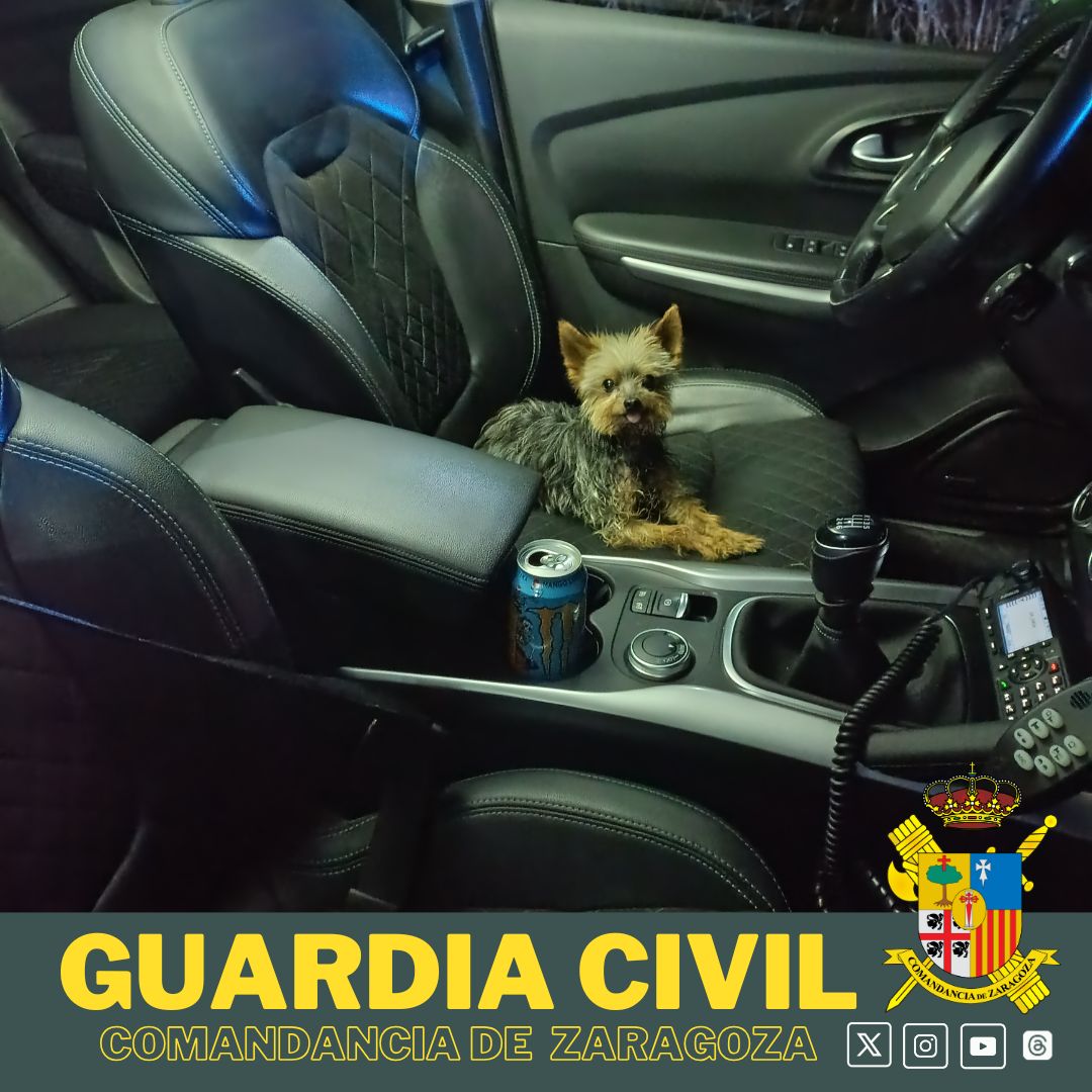 GuardiaCivilZaragoza🇪🇸 tweet media