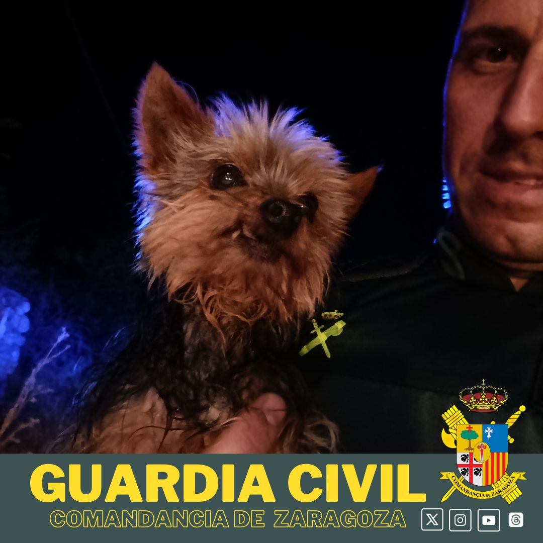 GuardiaCivilZaragoza🇪🇸 tweet media