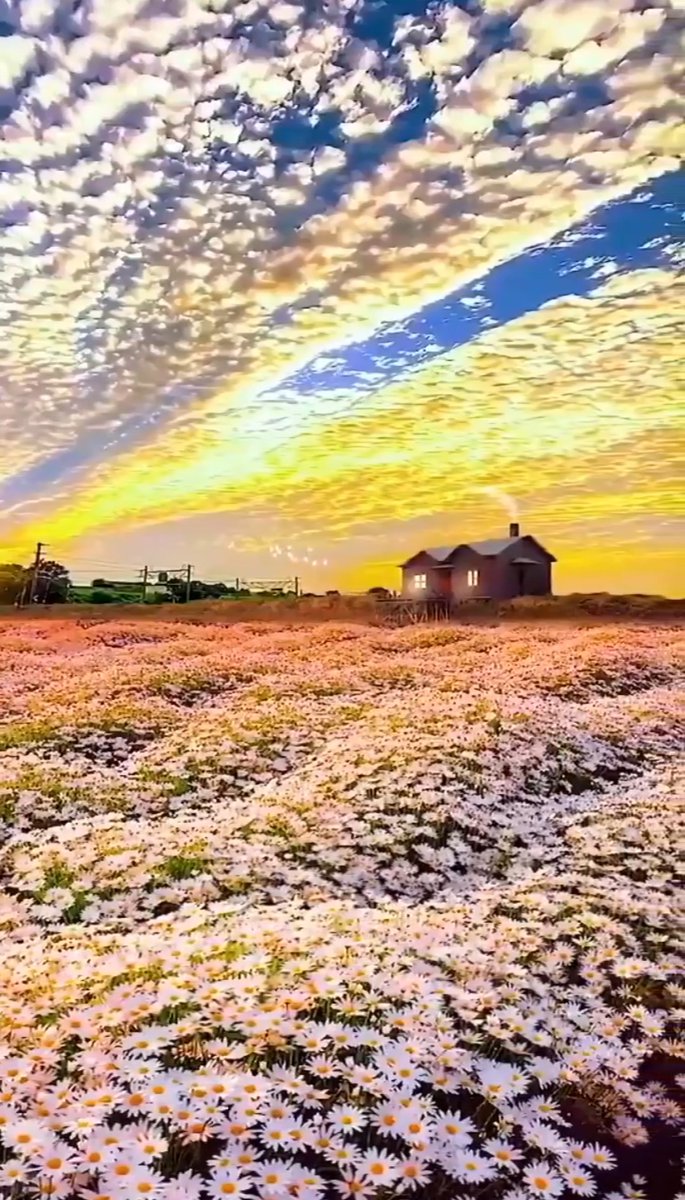 Unconditional Love - America 💛💛 youtu.be/kgSH72dS5Y8?si… 💛💛 Cuando miramos al horizonte tenemos que saber que es lo importante en la vida. 🎸🎸🎸🎸🎸🎸🎸🎸🎸🎸🎸🎸🎸🎸🎸🎸🎸🎸🎸🎸🎸🎸🎸🎸🎸🎸🎸🎸🎸🎸🎸🎸🎸🎸🎸🎸💛💛