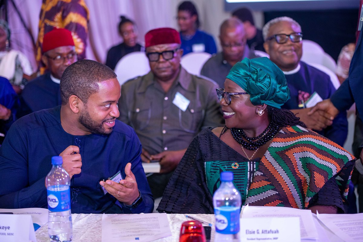 UNDPNigeria tweet picture