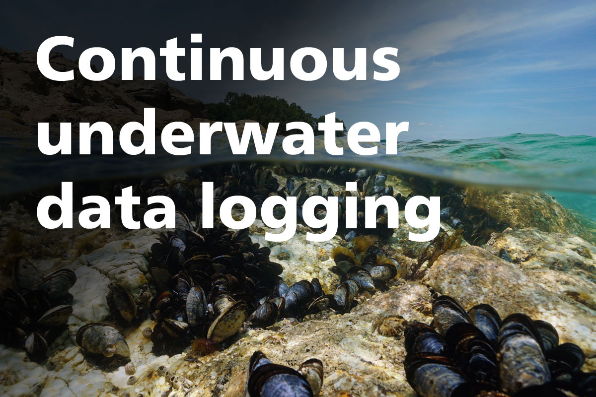 Windmill Software tweet media