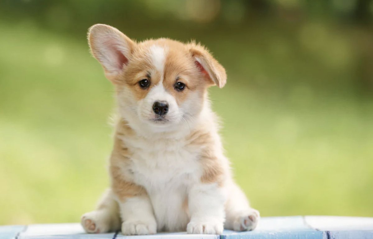 ADD+ (@longwater_inc) on Twitter photo 