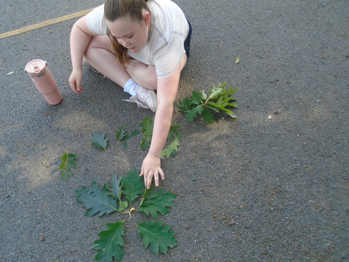 🌼✨ "Our Year 6 children have been exploring nature through art—creating their very own mandalas using natural materials! Each piece is a unique reflection of symmetry, creativity, and the beauty found outdoors. #bridgetosuccess