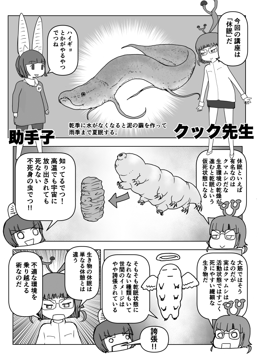 色々と誤解されてそうな動物を漫画で解説していくぞい。  第42回「休眠」1/2 #クック先生の動物講座 #漫画が読めるハッシュタグ #マンガが読めるハッシュタグ 