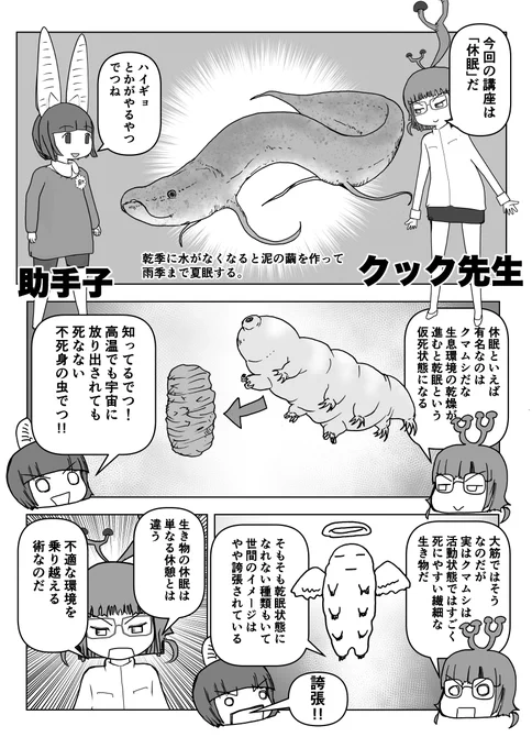 色々と誤解されてそうな動物を漫画で解説していくぞい。  第42回「休眠」1/2 #クック先生の動物講座 #漫画が読めるハッシュタグ #マンガが読めるハッシュタグ 
