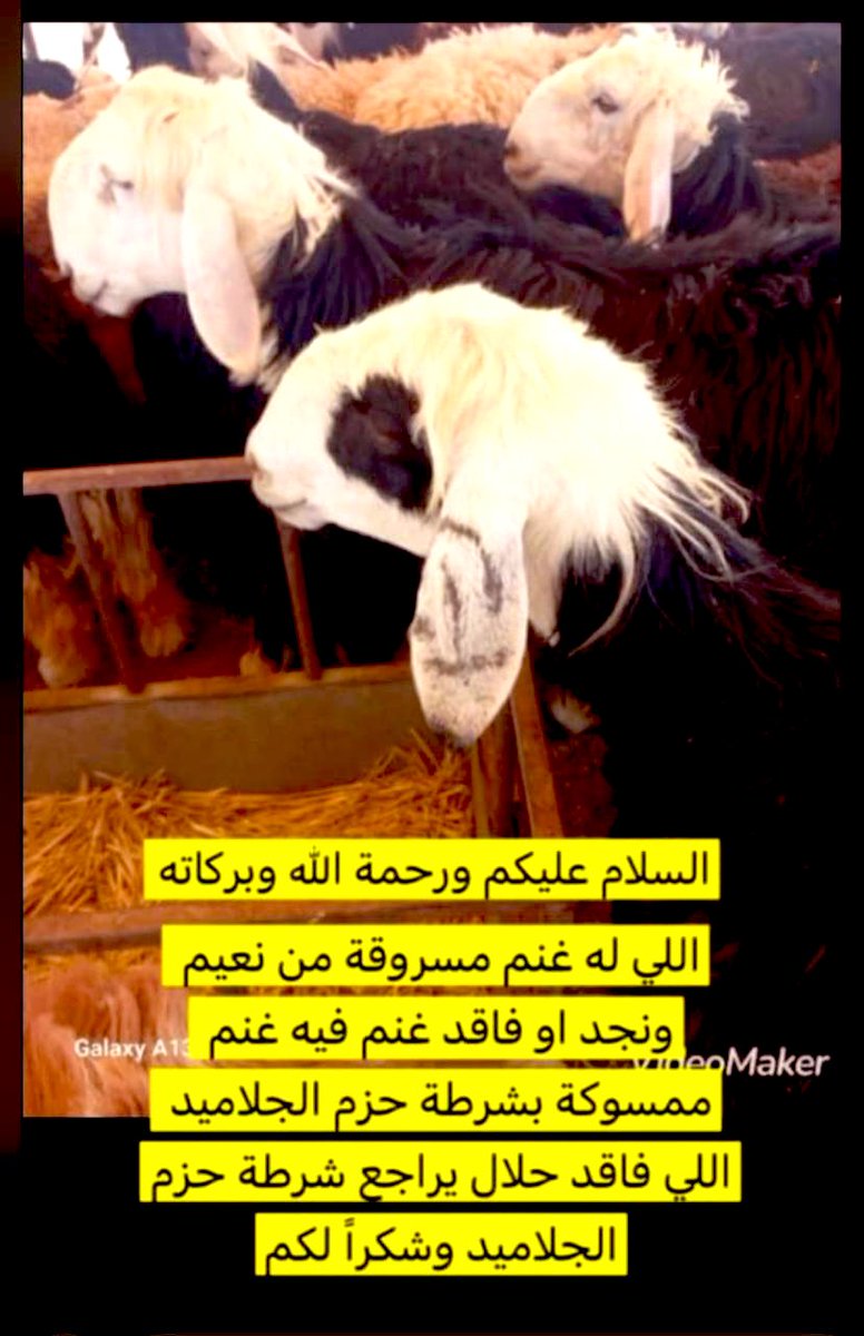 #الوظايف_التعليميه