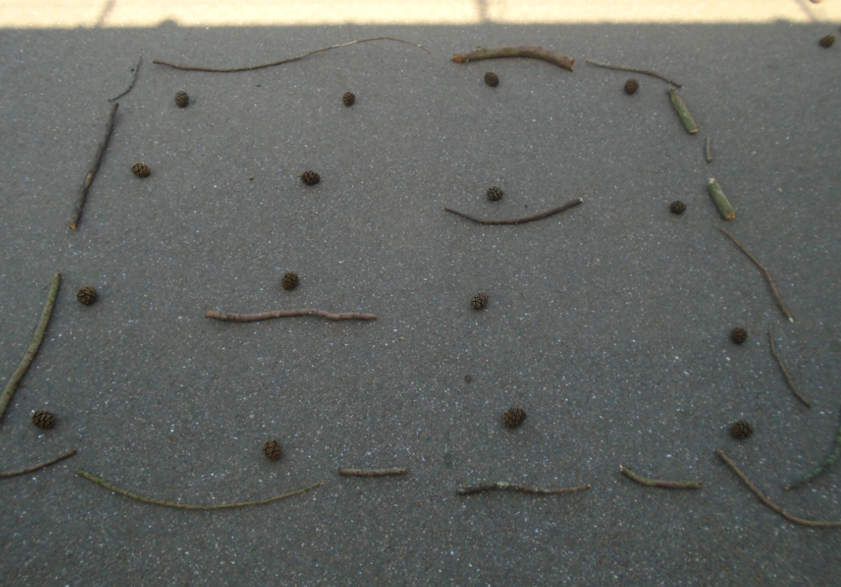 📏🌿 Year 5 took their maths learning outside today! Using natural materials, they explored shape and translation in a hands-on way—bringing geometry to life in the great outdoors! #bridgetosuccess