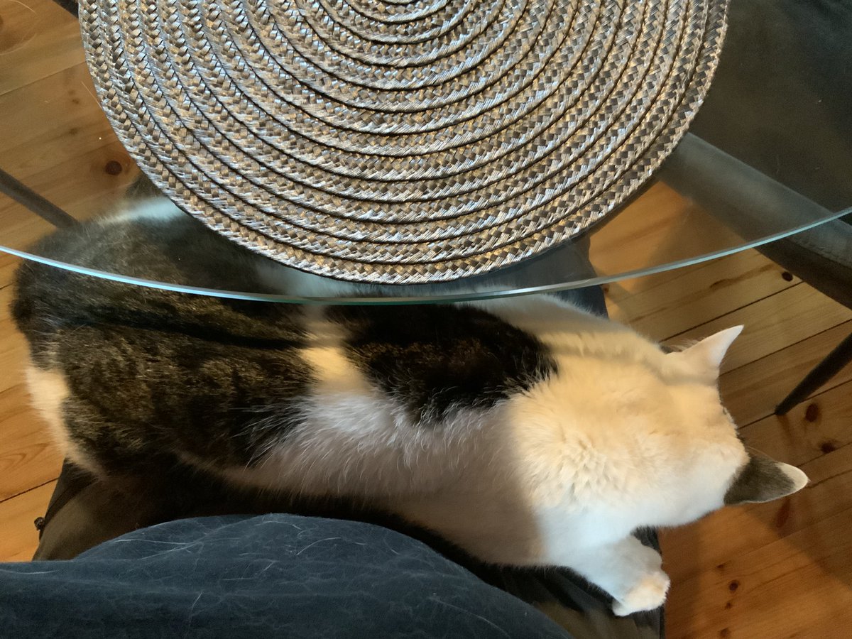 Lounasseuralaiseni (kehrää)