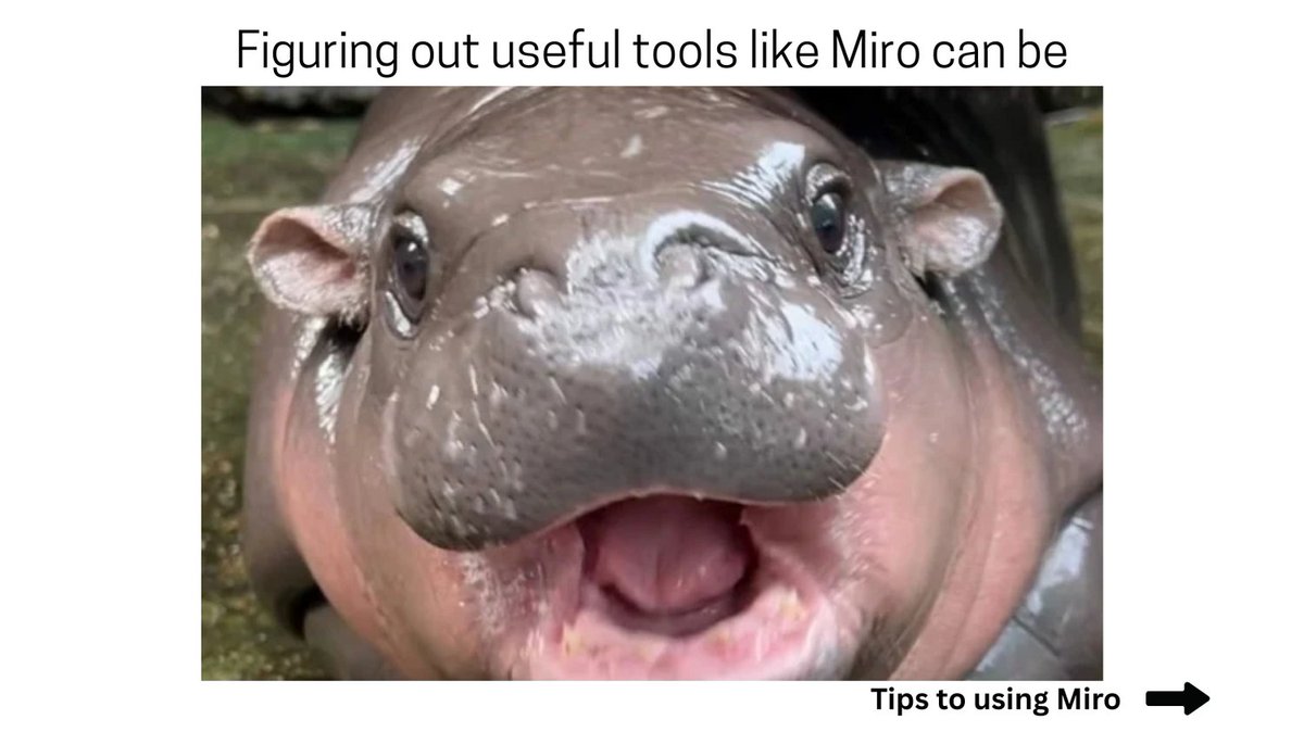 UofGTransform tweet media