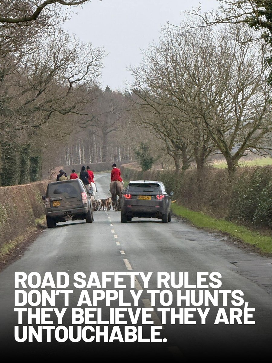 Protect the Wild (@protectthewild_) on Twitter photo Look familiar? Once again, hunts are ignoring road safety, putting animals, drivers, and the public at risk.
Raise your voice help ban hunting for good 👇
forms.gle/XPCL2fKEebGk1T…
<a href="/_WBWP/">Welsh Border Wildlife Protectors</a> Look familiar? Once again, hunts are ignoring road safety, putting animals, drivers, and the public at risk.
Raise your voice help ban hunting for good 👇
forms.gle/XPCL2fKEebGk1T…
<a href="/_WBWP/">Welsh Border Wildlife Protectors</a>