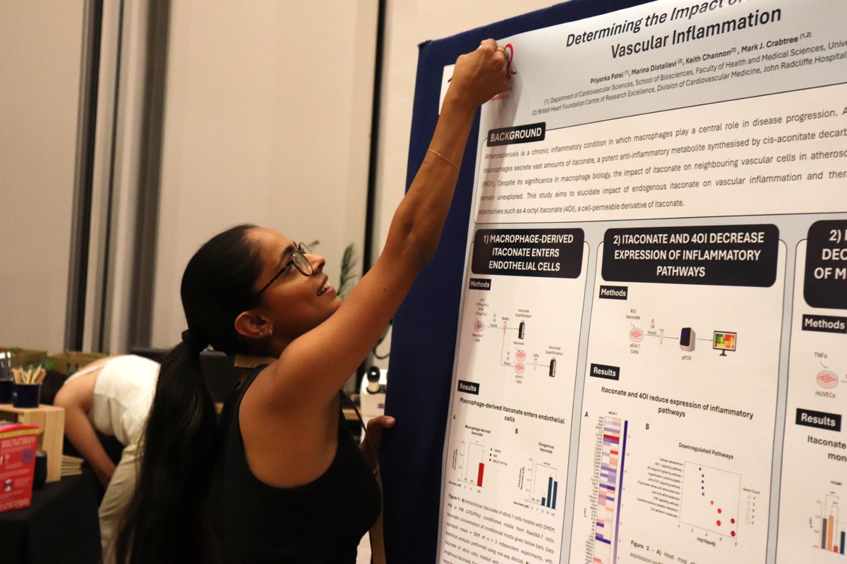 BMVBSoc's tweet image. Thank you to everyone who contributed to our BMVBS2025 preparations. Your efforts have been invaluable, and I&apos;m excited about the upcoming conference at the University of Surrey. Looking forward to seeing everyone and making it memorable!