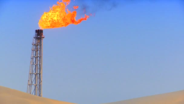 منتدى الاستراتيجيات: احتياطيات واعدة في حقل الريشة قد تغيّر مستقبل الطاقة في الأردن 

للاطلاع على ورقة المنتدى: jsf.org/uploads/%D8%AD…  
 
#JSFJo