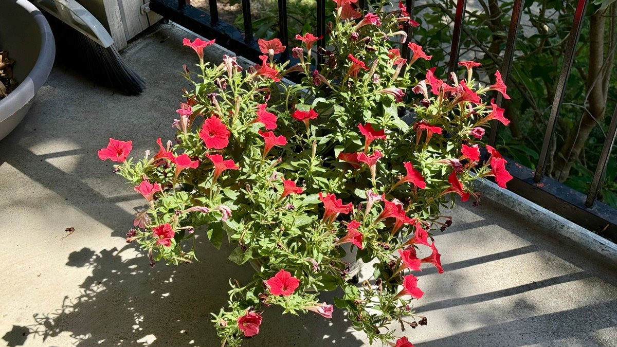 Good morning! ☀️

michaelthacker.net

#writerslife #goodmorning #sunshine