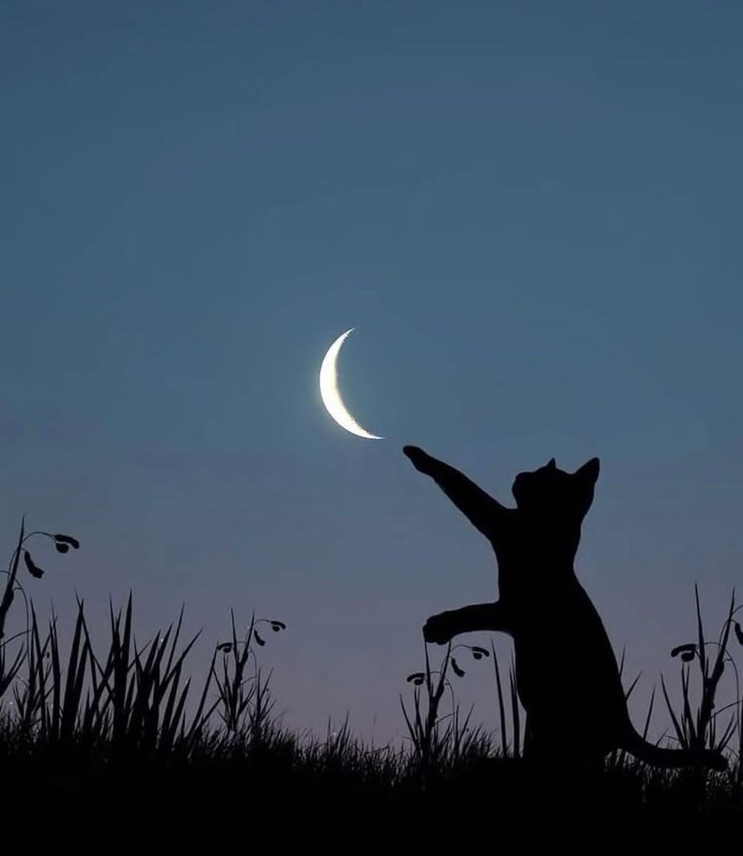 Shoot for the moon.
Even if you miss, you'll land among the stars.

Norman Vincent Peale