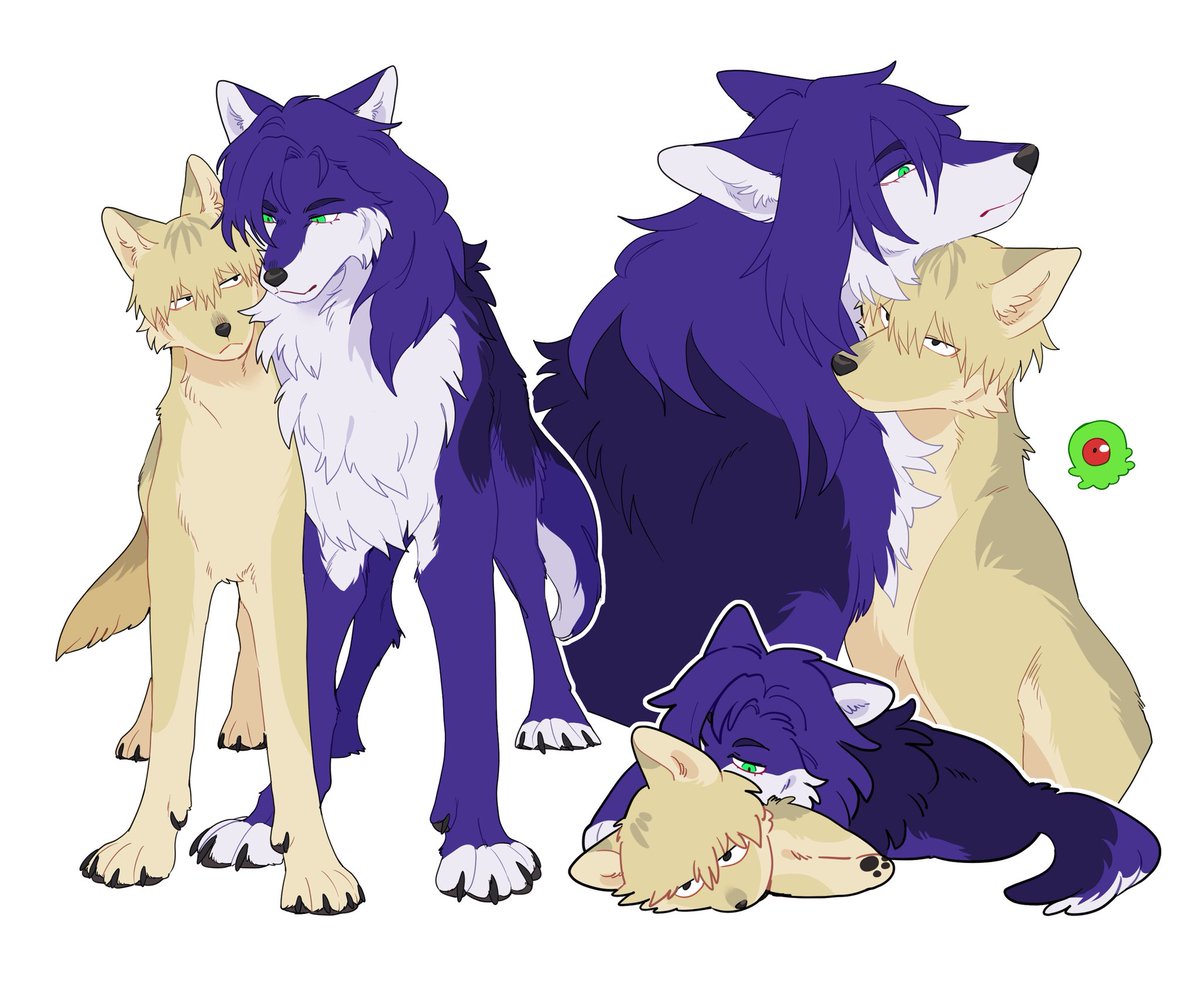 ด่อนดำ tweet media