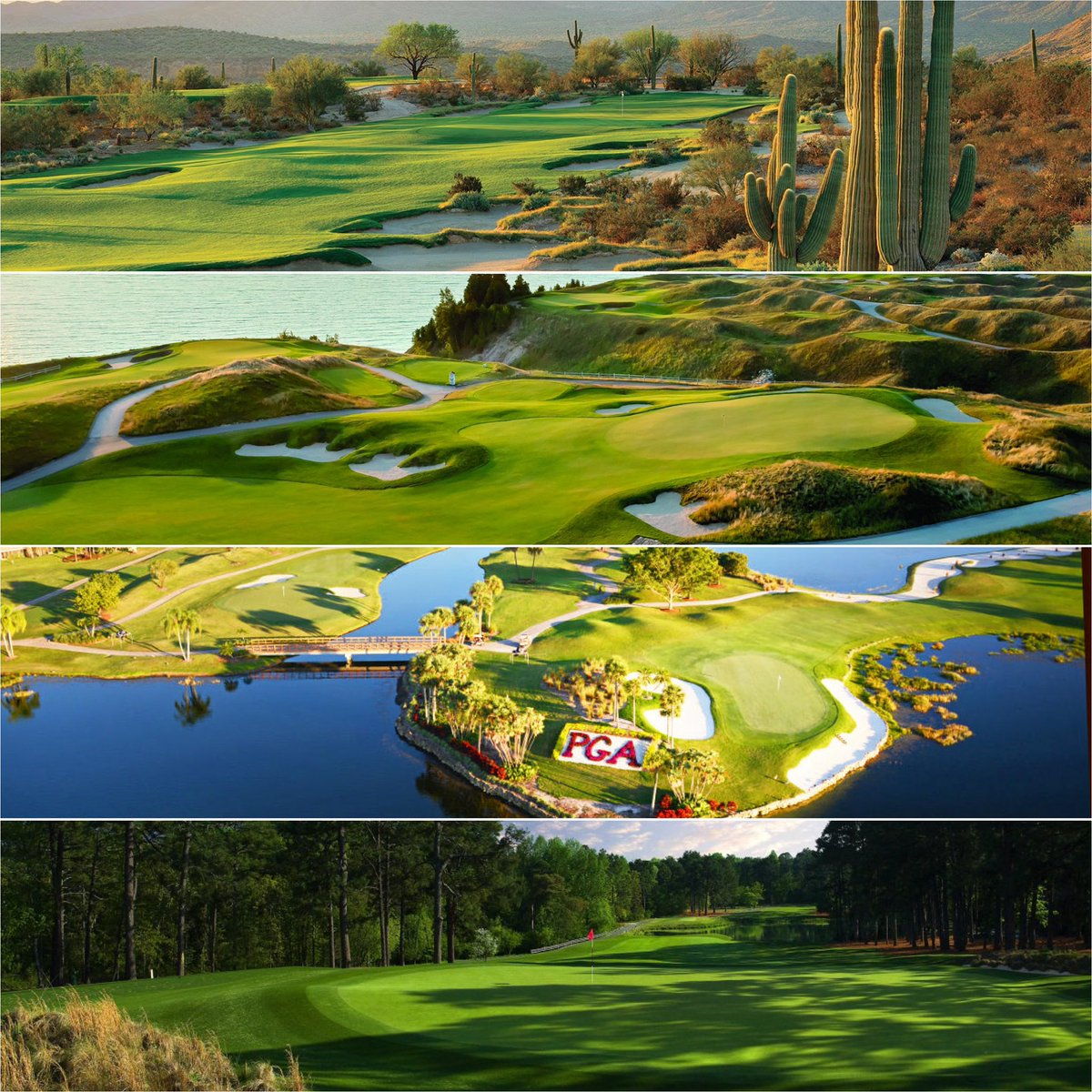 What U.S. State has the best golf courses? 

🌵 Arizona
🌊 Michigan
🐊 Florida
🌲 North Carolina