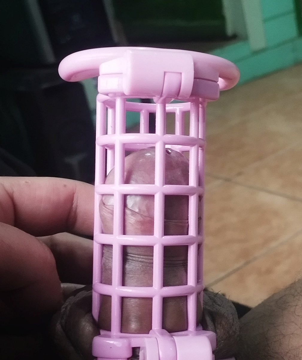 Chegou o cinto de castidade duplo....agora só falta uma amiguinha pra ficar presa comigo...🤤
Na primeira foto eu tinha acabado de colocar, na segunda foto eu tava ficando com o pintinho durinho....já pensou...nossos pintinhos brigando por espaço lá dentro e babando de tesão🤤💦