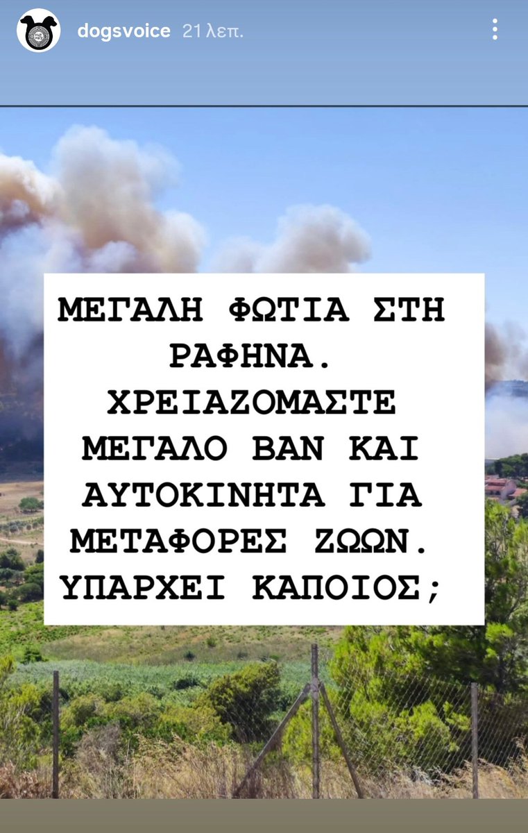 #φωτιά #Ραφήνα #dogsvoice
