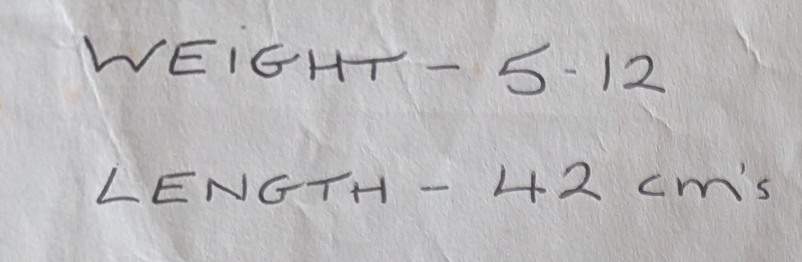 KnucklesOx2's tweet image. Fun fact: i was born one month early and was quite a small baby. A big contrast to my 183cm and 143 pound self.
