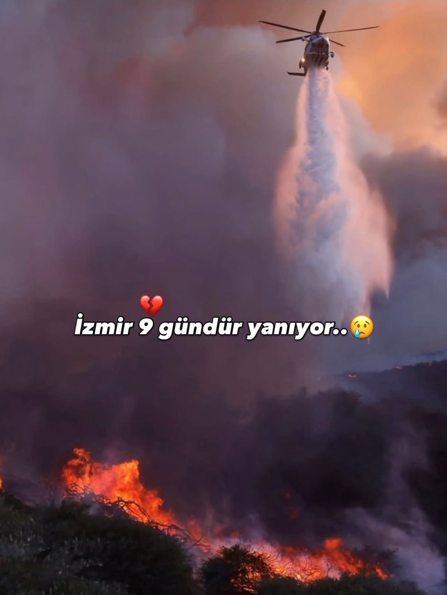 Kasten değil ,bilerek değil o zaman kim suçlu.Elektrikten çıktı yangın diyorlar peki Gediz A.Ş ye yaptırımı olucakmı ?Yada sigara attılar ,peki varmı caydırıcı cezalarınız ?O kadar orman gitti ,canlı gitti kim vericek giden canların hesabını ? #izmiryanıyor