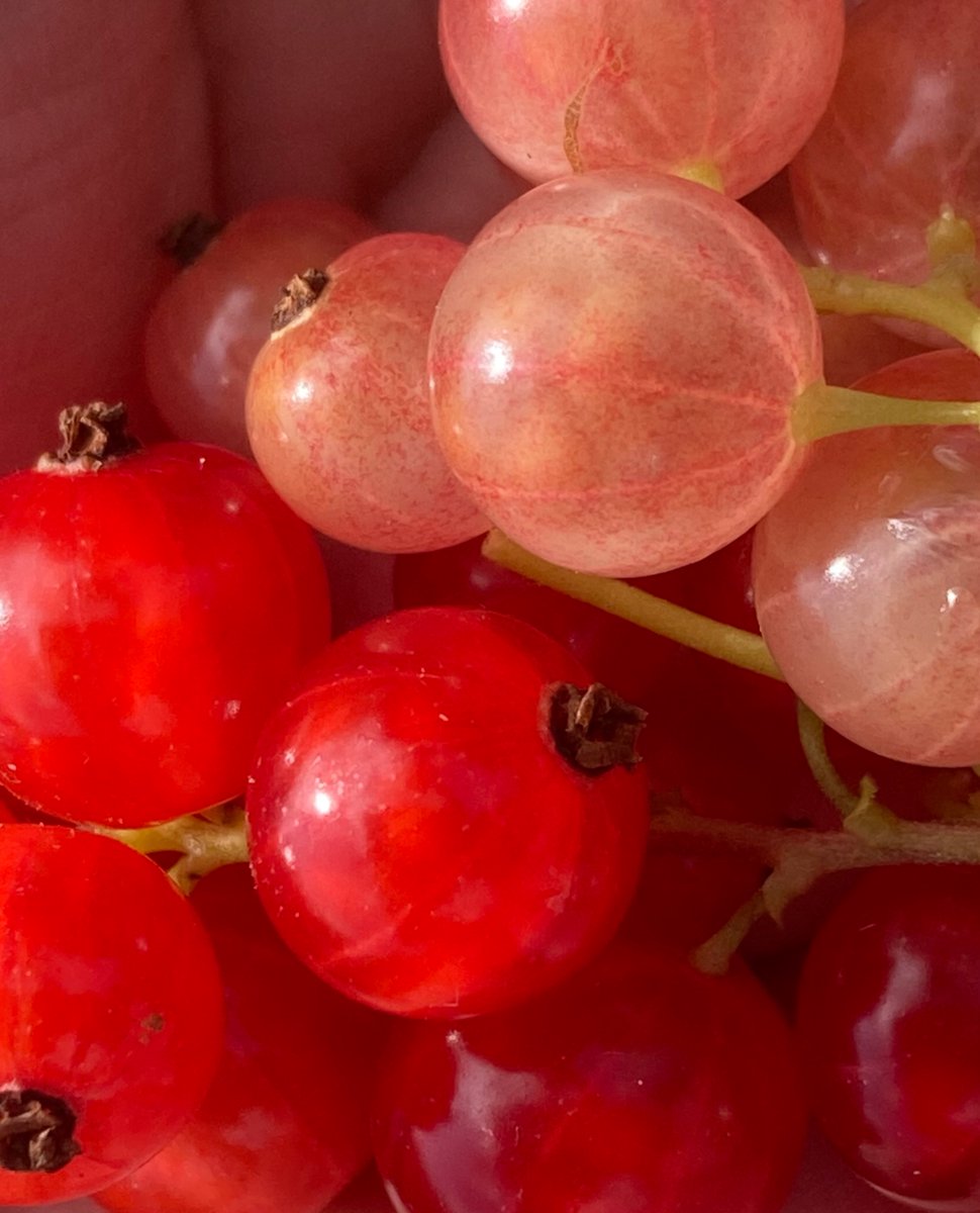 I was quite pleased with my berry photo until I saw this gorgeous painting.