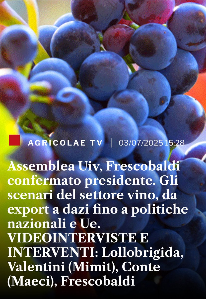 AGRICOLAE (@agricolae1) on Twitter photo Assemblea #Uiv, #Frescobaldi confermato presidente. Gli scenari del settore #vino, da #export a #dazi fino a politiche nazionali e Ue. VIDEOINTERVISTE E INTERVENTI
<a href="/FrancescoLollo1/">Francesco Lollobrigida 🇮🇹</a> <a href="/SocialMasaf/">Ministero dell'Agricoltura</a> <a href="/Vale_Valentini_/">Valentino Valentini</a> <a href="/mimit_gov/">MIMIT</a> #Conte <a href="/ItalyMFA/">Farnesina 🇮🇹</a> #Frescobaldi
agricolae.eu/uiv-frescobald… Assemblea #Uiv, #Frescobaldi confermato presidente. Gli scenari del settore #vino, da #export a #dazi fino a politiche nazionali e Ue. VIDEOINTERVISTE E INTERVENTI
<a href="/FrancescoLollo1/">Francesco Lollobrigida 🇮🇹</a> <a href="/SocialMasaf/">Ministero dell'Agricoltura</a> <a href="/Vale_Valentini_/">Valentino Valentini</a> <a href="/mimit_gov/">MIMIT</a> #Conte <a href="/ItalyMFA/">Farnesina 🇮🇹</a> #Frescobaldi
agricolae.eu/uiv-frescobald…
