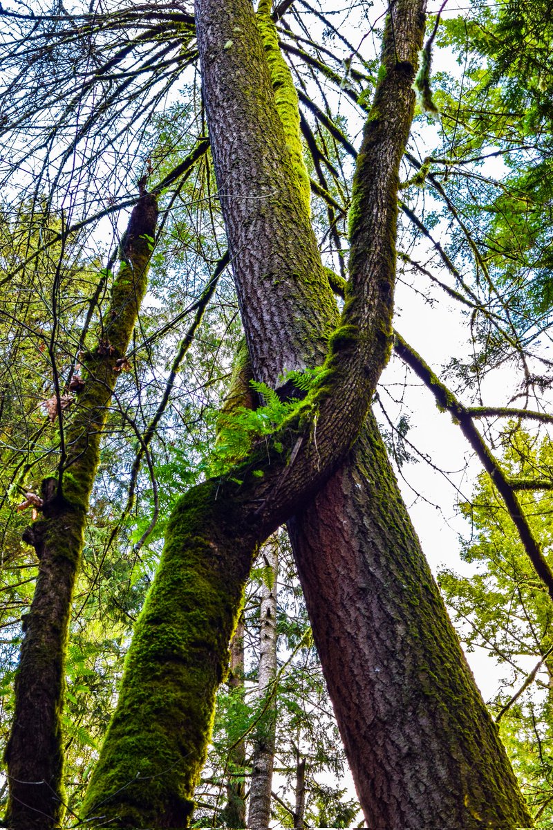 Travis Martin (@travism68005323) on Twitter photo 