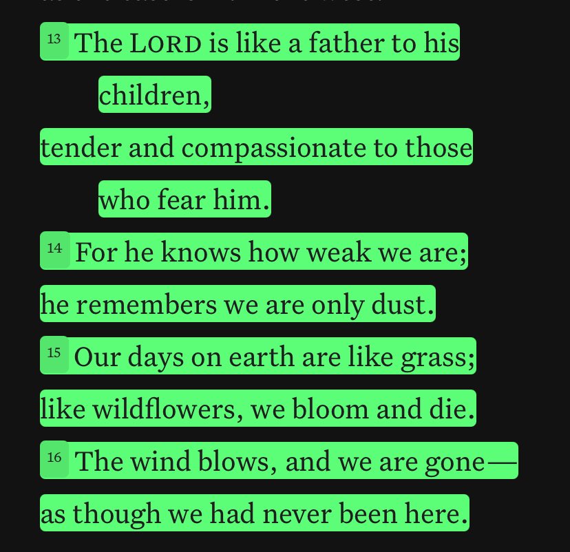 StepAid10's tweet image. This life is truly fickle and fleeting.