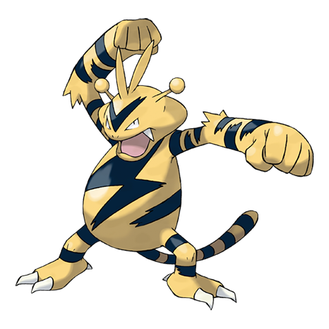 arkclaimer's tweet photo. Do you like Electabuzz https://t.co/XEnFBH3EMd