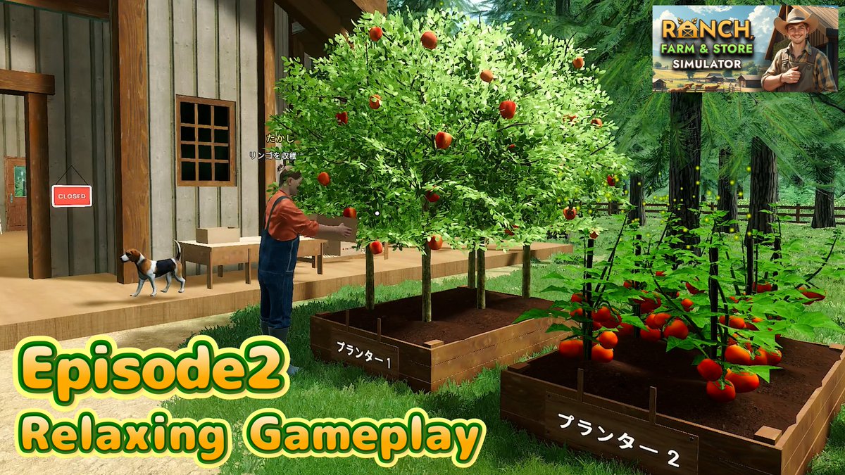 puteko_g's tweet photo. Ranch Farm &amp; Store Simulator Episode2をアップしました！高額な値段で絵を売りつけに販売員のおじさんが来ました。しかも買わなかったら店に居続けますｗ

【Ranch Farm &amp; Store Simulator】リンゴの木と販売員のおじさん | Episode 2 | relaxing game... https://t.co/RVe4AsOoT2 @YouTubeより https://t.co/1WV1nYeCTZ