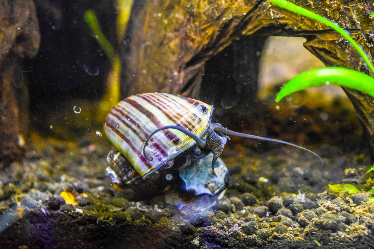 Travis Martin (@travism68005323) on Twitter photo 