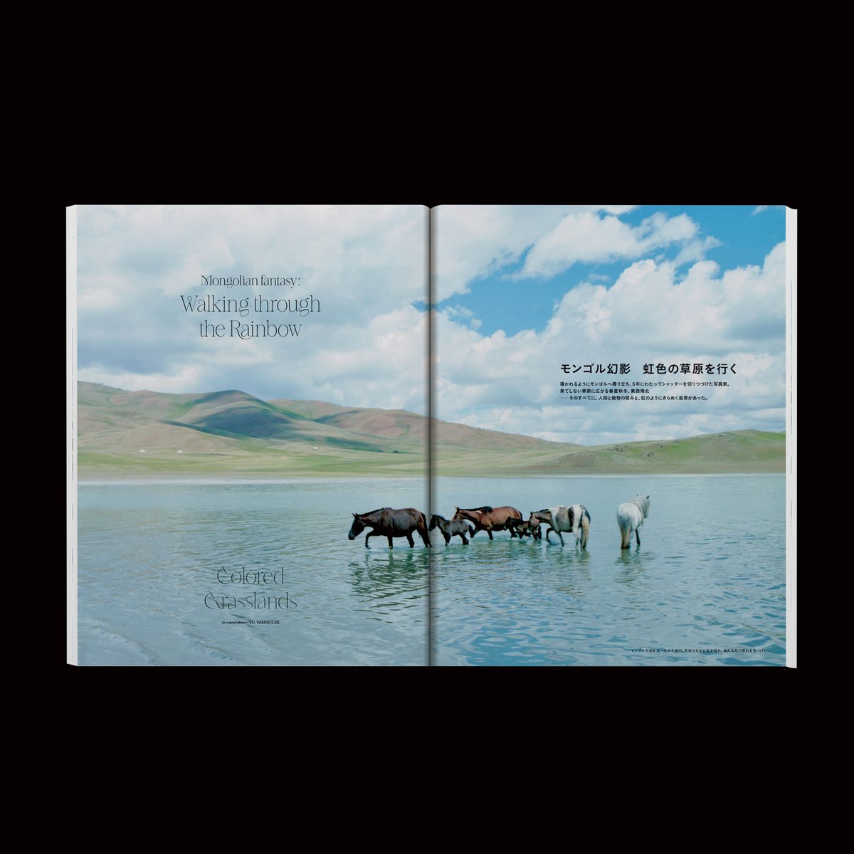 There There Ltd. tweet media