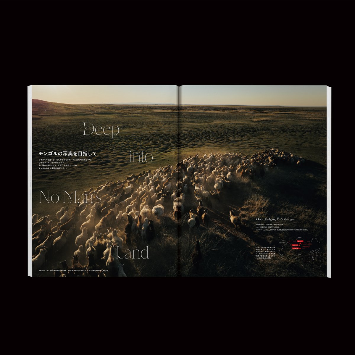 There There Ltd. tweet media