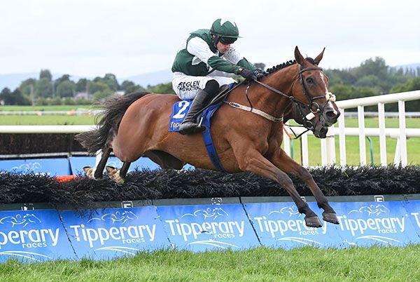 RACING LEE (@racinglee1) on Twitter photo WINTER FOG - Appreciation post 🥶💚
Runs today in a Grade 3 <a href="/tipperaryraces/">Tipperary Racecourse</a>
He bolted up in this race last season by 16 lengths.
Age is just a number as proven by him, but he’s now aged 11..
And this is his CV since last season’s victory… 🤯🫶🏻
🥇 Won G3, July. (This WINTER FOG - Appreciation post 🥶💚
Runs today in a Grade 3 <a href="/tipperaryraces/">Tipperary Racecourse</a>
He bolted up in this race last season by 16 lengths.
Age is just a number as proven by him, but he’s now aged 11..
And this is his CV since last season’s victory… 🤯🫶🏻
🥇 Won G3, July. (This