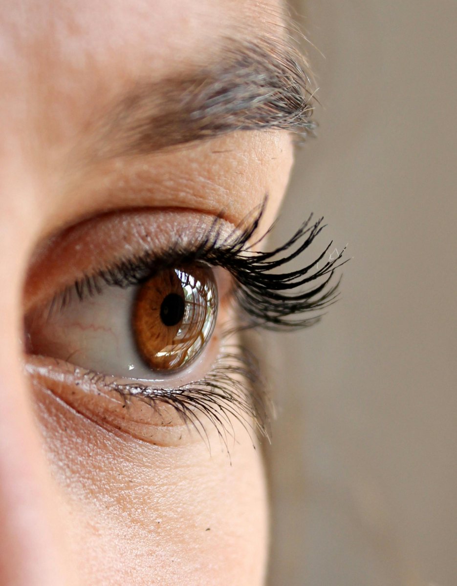 GenflowBioIR's tweet photo. 🧬 @GenflowBioIR is exploring how #SIRT6-based gene therapy could help treat glaucoma, a leading cause of irreversible #blindness.

By targeting #aging and #DNA repair pathways, we aim to move beyond symptom control toward long term vision preservation. 

$GENF $GENFF https://t.co/qaLsQjFDI6