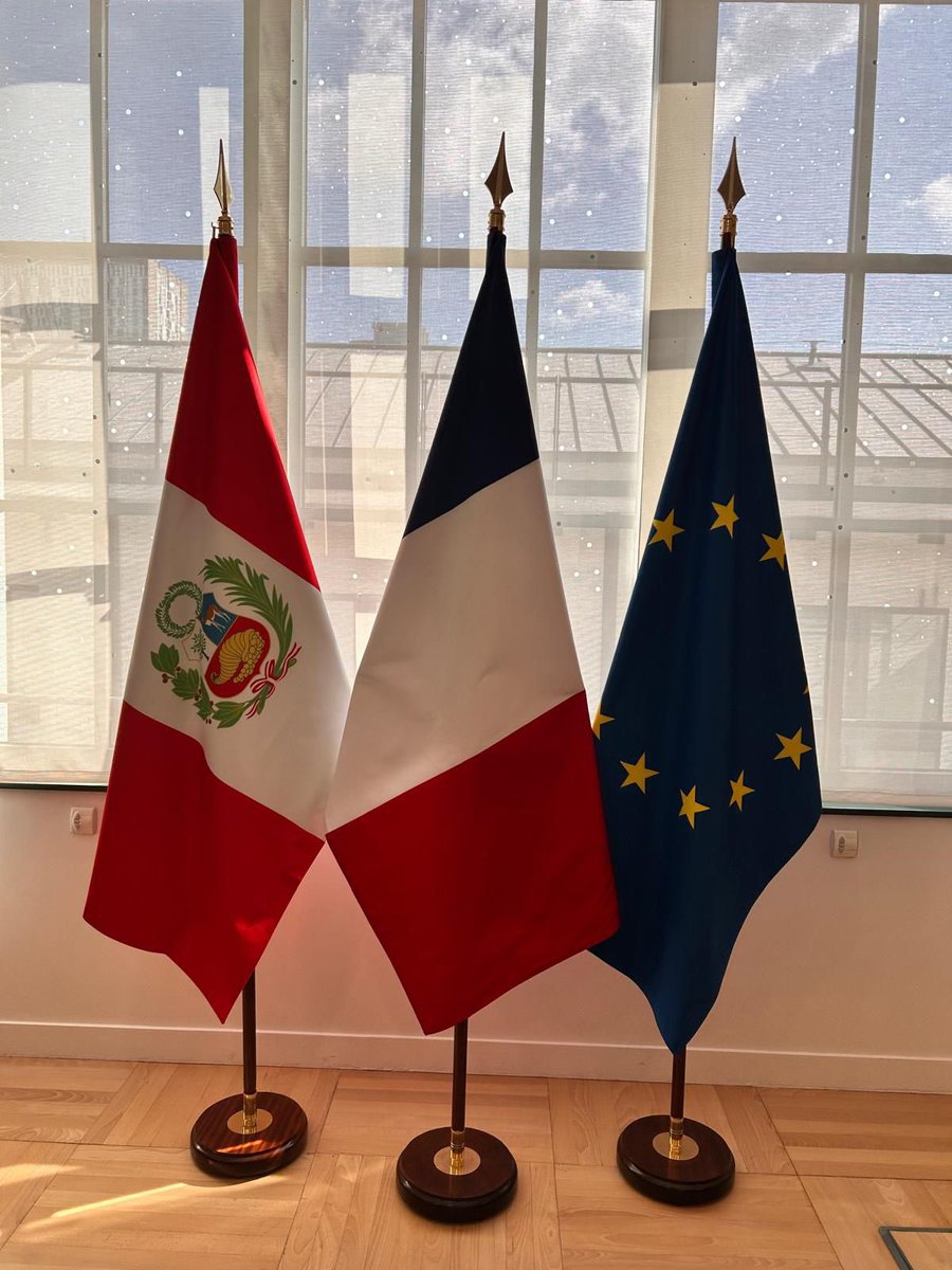 Thani Mohamed-Soilihi (@tmohamedsoilihi) on Twitter photo Très heureux d'avoir accueilli le Ministre de l'Education du Pérou 🇵🇪 <a href="/MORGANQUERO/">Morgan Quero</a> pour échanger notamment sur le renforcement de notre coopération éducative, universitaire et scientifique.
Le Pérou est fortement mobilisé pour développer l'apprentissage du français dans son Très heureux d'avoir accueilli le Ministre de l'Education du Pérou 🇵🇪 <a href="/MORGANQUERO/">Morgan Quero</a> pour échanger notamment sur le renforcement de notre coopération éducative, universitaire et scientifique.
Le Pérou est fortement mobilisé pour développer l'apprentissage du français dans son