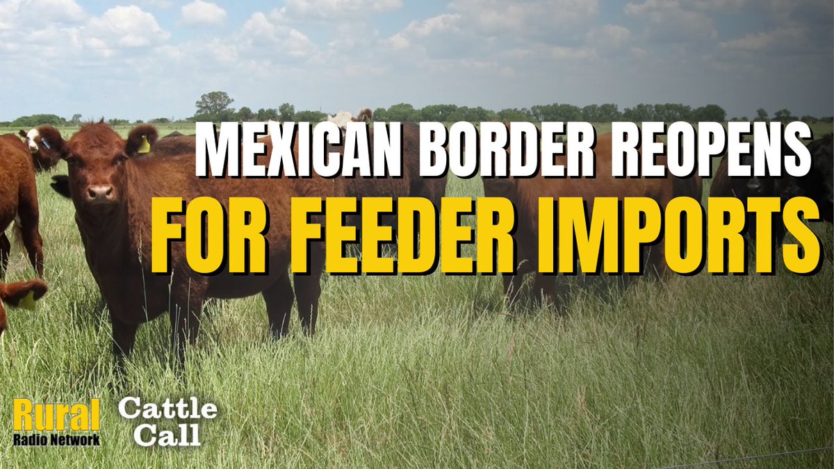 Cattle Call: Cattle market correction continues as USDA begins reopening Mexican border dlvr.it/TLjMLF