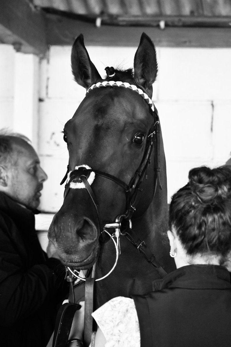 Fantastic photos from Ava Lidster Photography yesterday <a href="/ThirskRaces/">Thirsk Racecourse</a> 

Surgeon Commander for owners Mike and Gemma Brennan..

Straight Ahead for owner Mr Peter Onslow...

#CRAIGLIDSTERRACING