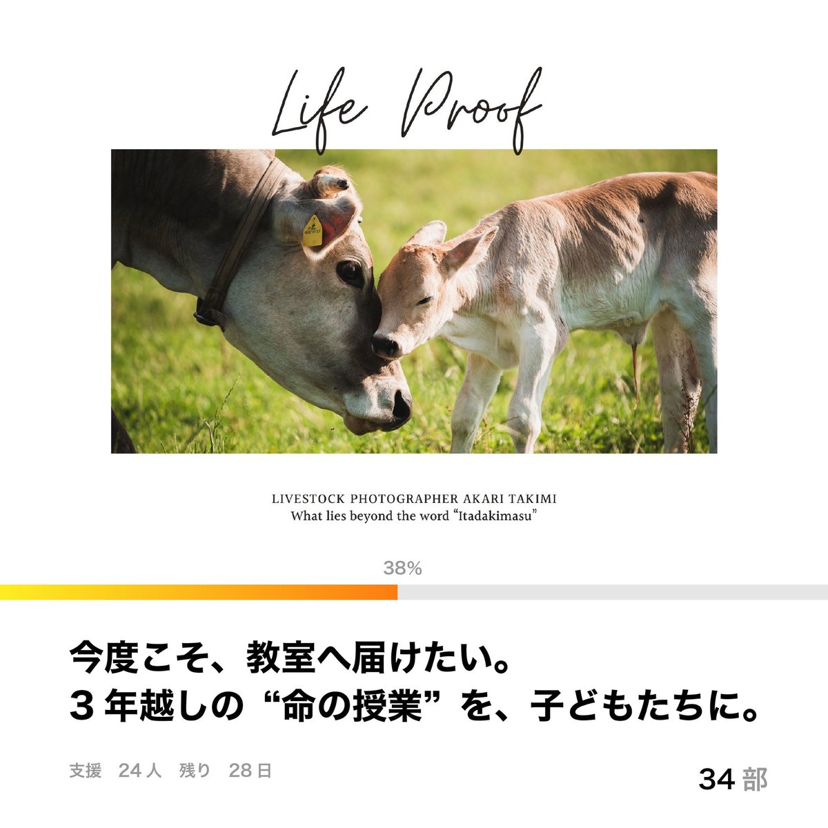 本日もご支援ありがとうございます！
あまりSNSの更新が出来ていない中で、温かい応援のお気持ち、とても嬉しいです。
授業はもちろん、リターンである新作フォトブックもお楽しみにしていただけたら嬉しいです。引き続き応援のほど、よろしくお願いします！

▼プロジェクト
note.com/akapple/n/nbf8…