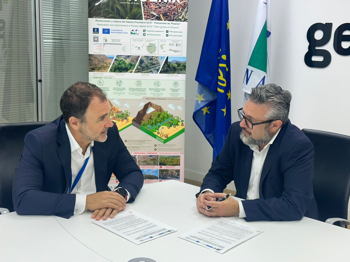 gesplansa's tweet photo. #ProyectosEuropeos 🇪🇺 | 🌴 #Gesplan y @Canaragua impulsan actuaciones para promover la protección de la palmera canaria. 👉El convenio de cooperación se enmarca en el proyecto Life Phoenix, cofinanciado con fondos europeos.
Consulta la nota de prensa 👇
https://t.co/J2UtC0rAlD https://t.co/XxQXwYgwKc