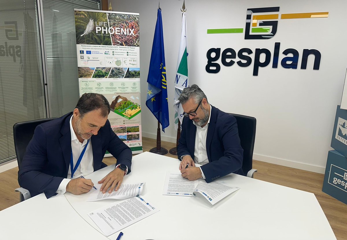 gesplansa's tweet photo. #ProyectosEuropeos 🇪🇺 | 🌴 #Gesplan y @Canaragua impulsan actuaciones para promover la protección de la palmera canaria. 👉El convenio de cooperación se enmarca en el proyecto Life Phoenix, cofinanciado con fondos europeos.
Consulta la nota de prensa 👇
https://t.co/J2UtC0rAlD https://t.co/XxQXwYgwKc